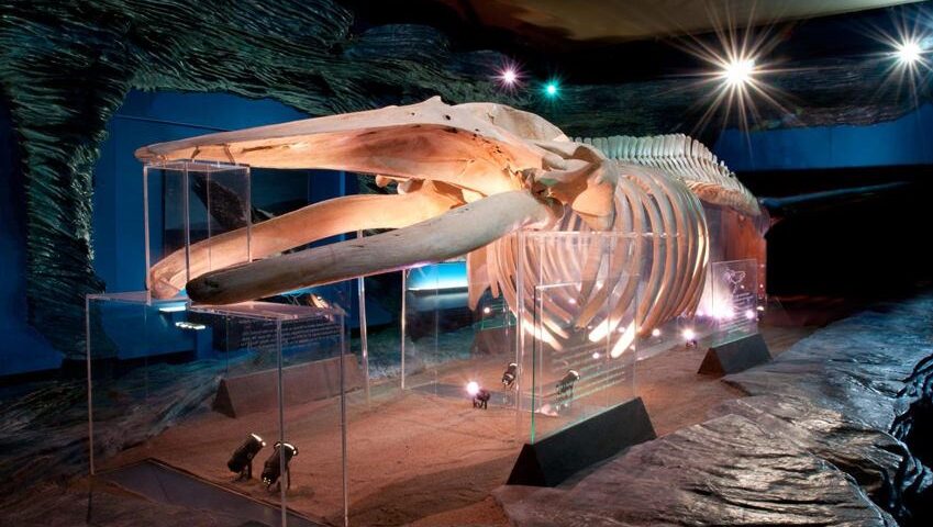 National Museum Cardiff